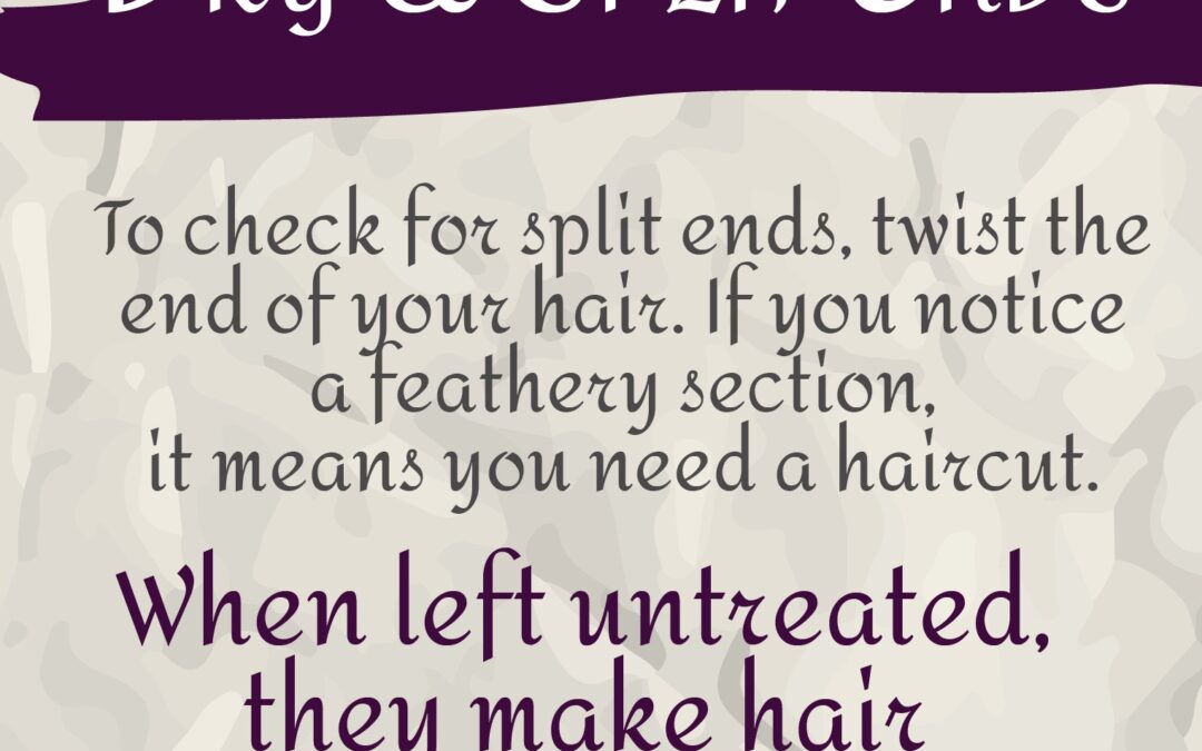 How to know it’s Time for a Haircut